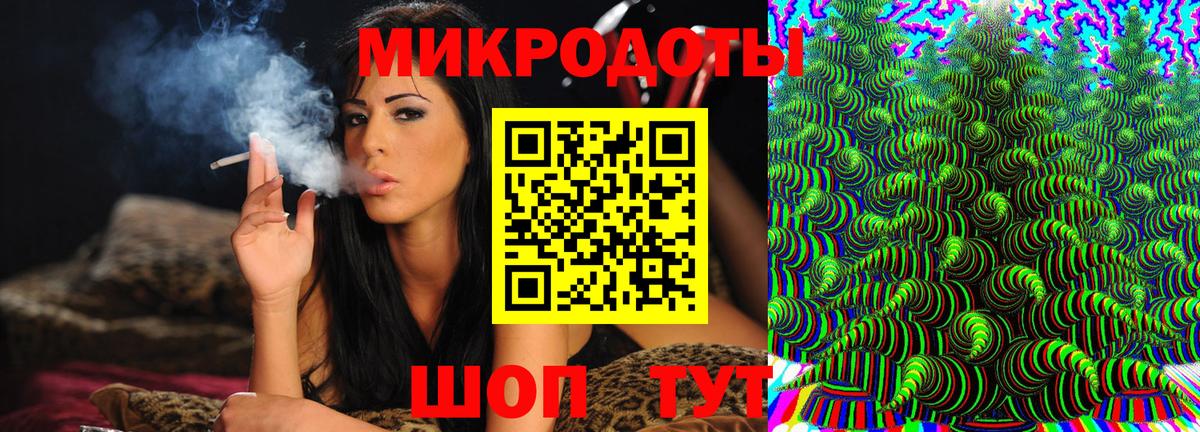 Псилоцибиновые грибы Psilocybine cubensis Дубна