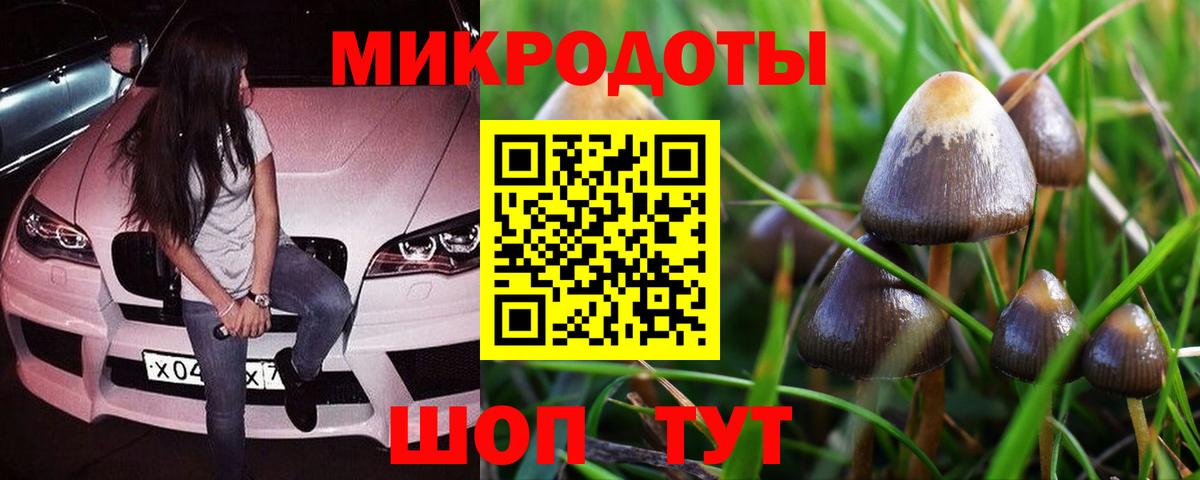 Галлюциногенные грибы ЛСД  что такое наркотик  Дубна  Вход с VPN 
